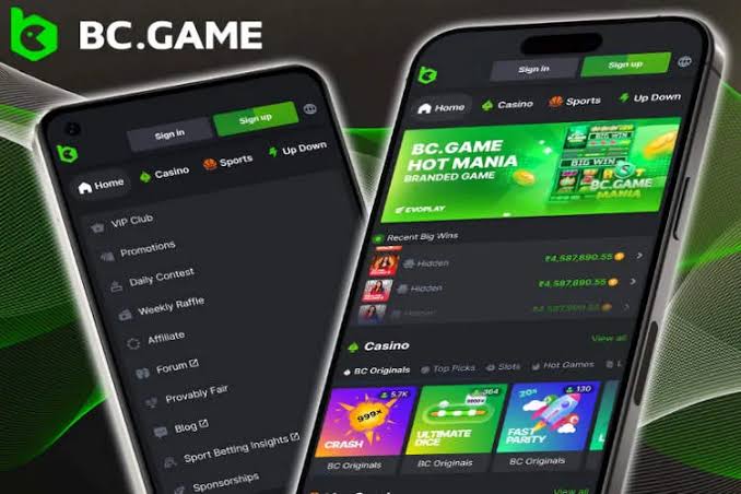 BC.Game Mirror Login Your Gateway to Secure Gaming